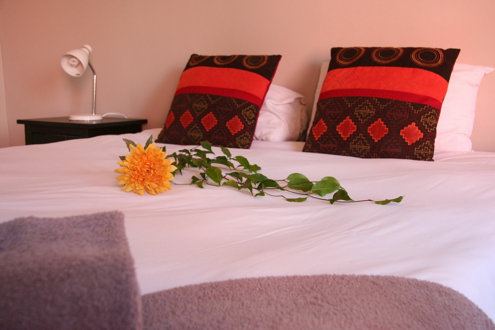 Dunedin Star Guesthouse Swakopmund Eksteriør billede